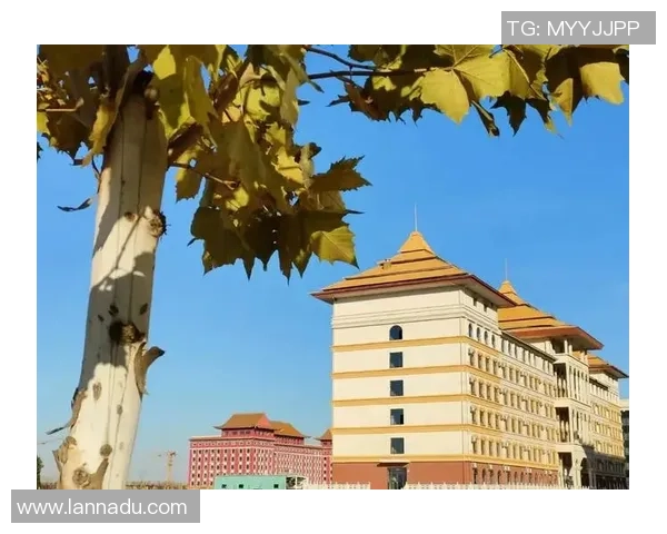 北京排球队的崛起之路：从默默无闻到大师赛的辉煌历程