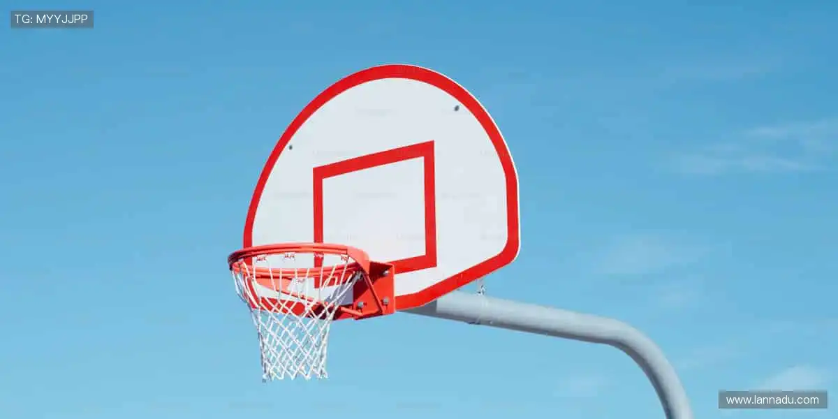 🎁把赛场带回家，让热爱触手可及！